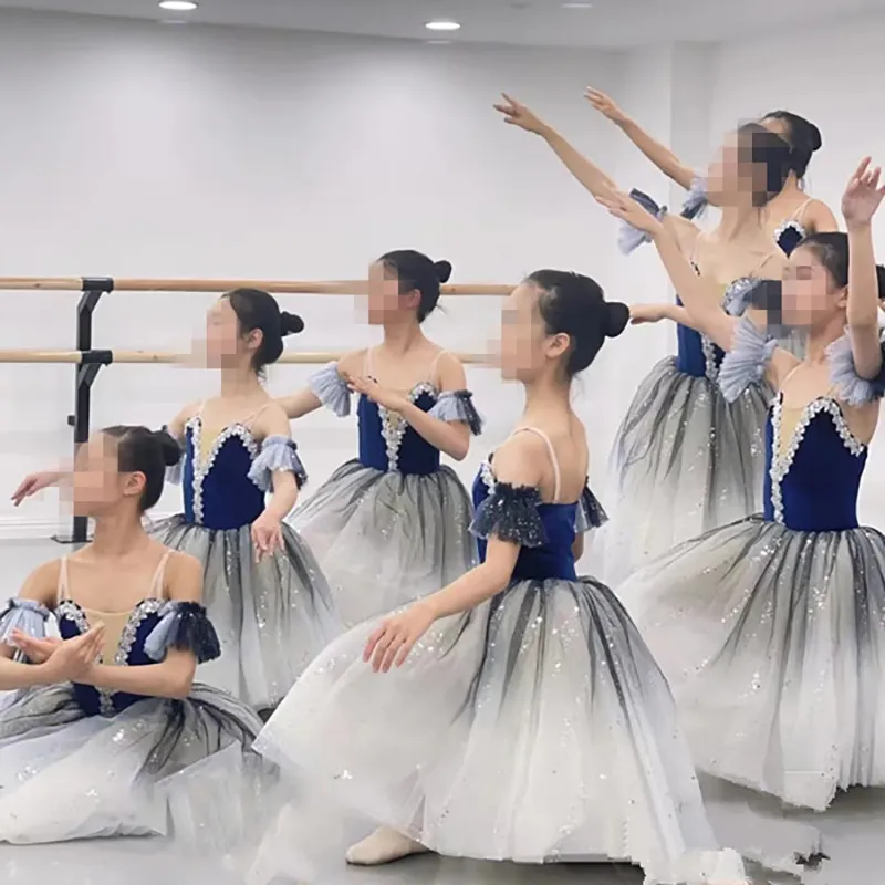 2022 Adultos Longo Tutu Profissional White Swan Lake Ballet Traje de Ballet Tutu de Ballet Vestidos de Desempenho dancewear